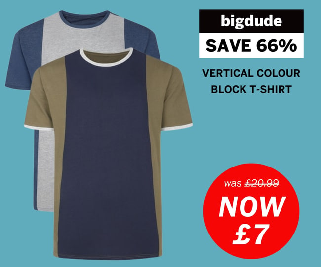 Bigdude weekly deal - t-shirt with vertical colour block now £7